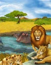 cartoon scene with hippopotamus hippo swimming in river and lion illustration