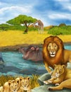 cartoon scene with hippopotamus hippo swimming in river and lion illustration