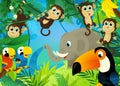 cartoon scene with jungle and animals being together with tucan bird illustration for children