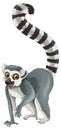 cartoon scene with lemur happy playing fun isolated illustration for children