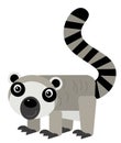 cartoon scene with lemur isolated illustration for children