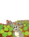 Cartoon scene with life on the farm rabbit running contest with first prize - illustration for the children