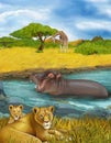 Cartoon scene with lions and hippopotamus hippo swimming in river near the meadow and giraffes resting - illustration for children Royalty Free Stock Photo