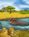 Cartoon scene with lions and hippopotamus hippo swimming in river near the meadow and giraffes resting - illustration for children Royalty Free Stock Photo