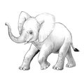 Cartoon scene with little elephant on white background safari coloring page sketchbook