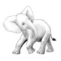 Cartoon scene with little elephant on white background safari coloring page sketchbook