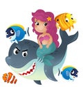 cartoon scene with mermaid princess and shark swimming together having fun with coral reef fishes isolated illustration for kids