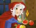 Cartoon scene old witch in the room with apples illustration