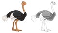 Cartoon scene with ostrich bird on white background - illustration