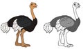 Cartoon scene with ostrich bird on white background - illustration