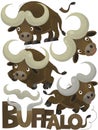 Cartoon scene with set of buffalo on white background with sign name of animal