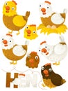 Cartoon scene with set of chickens hens on white background