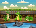 Scene with three crocodiles in the zoo illustration