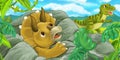 cartoon scene with triceratops hidind behind the rock from tyrannosaurus rex - illustration for children Royalty Free Stock Photo