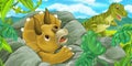 Cartoon scene with triceratops hidind behind the rock from tyrannosaurus rex - illustration for children Royalty Free Stock Photo
