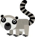 cartoon scene with tropical animal happy lemur isolated illustration for children