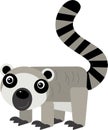 cartoon scene with tropical animal happy lemur isolated illustration for children