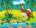 Cartoon scene - wild africa animals - llama