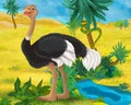 Cartoon scene - wild africa animals - ostrich