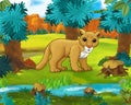 Cartoon scene - wild america animals - cougar - raccoon