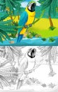 Cartoon scene with wild animal bird parrot in nature - illustration