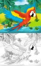 Cartoon scene with wild animal parrot bird in nature - illustration