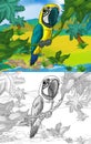 Cartoon scene with wild animal parrot bird in nature - illustration