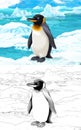 Cartoon scene with wild animal penguin bird in polar nature - illustration