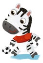 cartoon scene with wild animal zebra horse running with ball, football soccer like human on white background illustration for Royalty Free Stock Photo