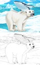 Cartoon scene with wild animals like bear in polar nature - illustration Royalty Free Stock Photo