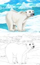 Cartoon scene with wild animals like bear in polar nature - illustration Royalty Free Stock Photo