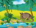 Cartoon scene - wild South America animals - armadillo