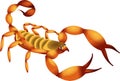 Cartoon Scorpion