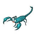 Cartoon Scorpion sketch. linear terrestrial arachnid. Vector illustration