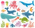 Cartoon sea animals. Cute ocean fish, octopus, shark and turtle, jellyfish, crab and seal. Underwater wildlife creatures