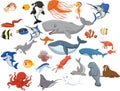 Cartoon sea animals isolated on white background Royalty Free Stock Photo