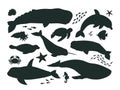 Cartoon sea animals silhouettes, ocean life fauna, orca, dolphin and whale. Underwater aquatic creatures, sperm whale, narwhal and