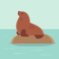 Cartoon sea lion drawing