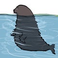 Cold Sea lion cartoon