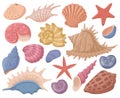 Cartoon sea shell, starfish, marine mollusks shells, underwater clams Royalty Free Stock Photo