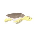 cartoon sea turtle baby swimming, vector illustration isolated on white, vector illustration in childish style for kids Royalty Free Stock Photo