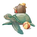 Cartoon sea turtle. Sweet turtle baby. Vector illustration for children. Royalty Free Stock Photo