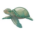 Cartoon sea turtle. Sweet turtle baby. Vector illustration for children. Royalty Free Stock Photo