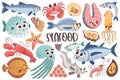 Cartoon Seafood Clipart Collection