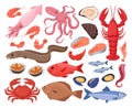 Cartoon seafood. Lobster, oyster, crayfish, shellfish, tuna and salmon, mediterranean diet, tasty seafood menu flat vector Royalty Free Stock Photo