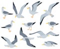 Cartoon seagull birds, sitting, flying and walking gulls birds. Marine seabird, atlantic gulls characters isolated Royalty Free Stock Photo