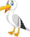 Cartoon seagull posing on white background Royalty Free Stock Photo