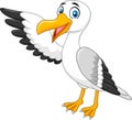 Cartoon Seagull Presenting On White Background