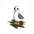 Cartoon cute vector Seagull Royalty Free Stock Photo