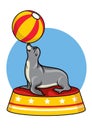 Cartoon seal circus